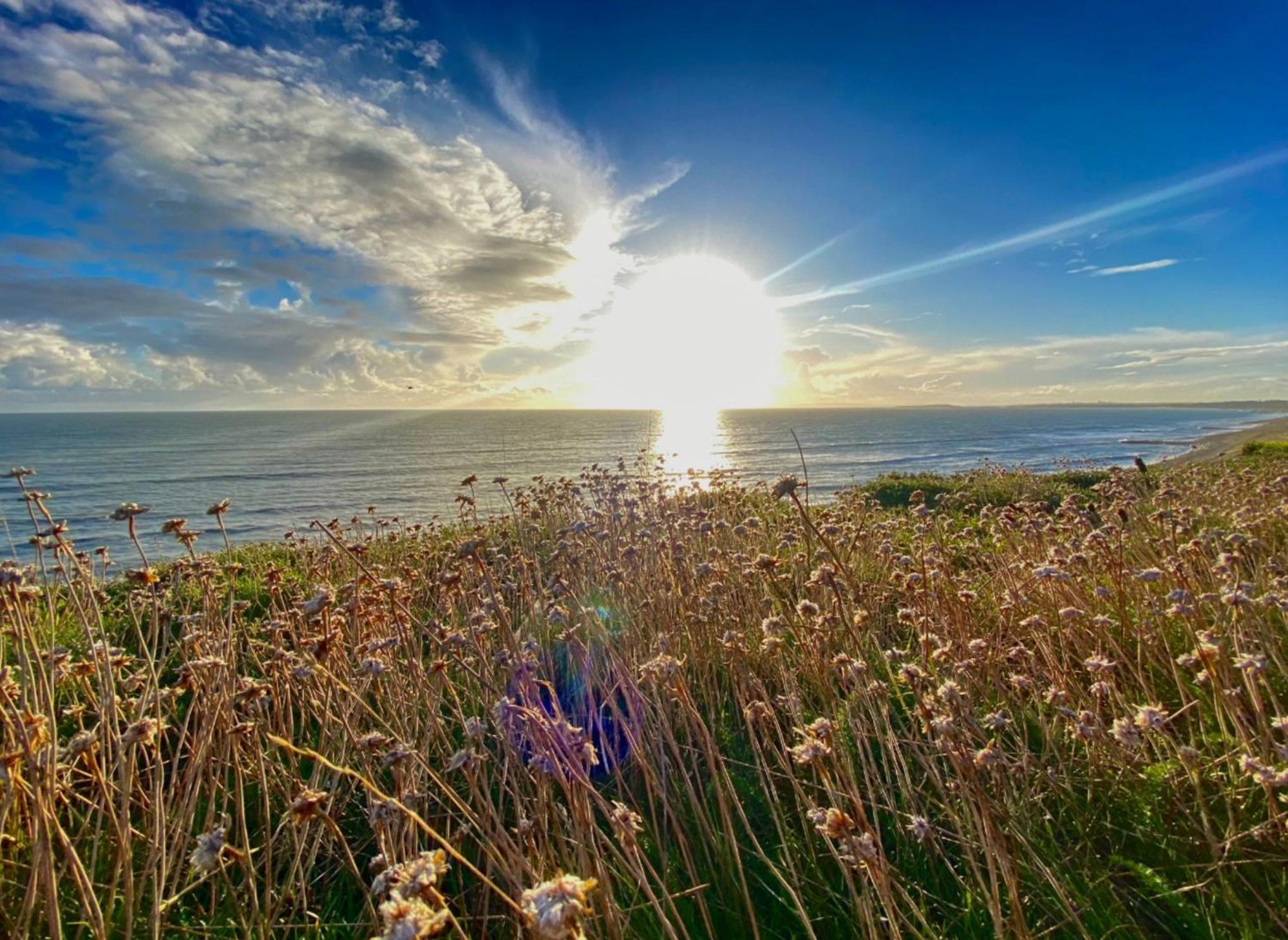 Seaside Escape In Central Bournemouth Spacious Stylish & Inviting Urban Heights Экстерьер фото
